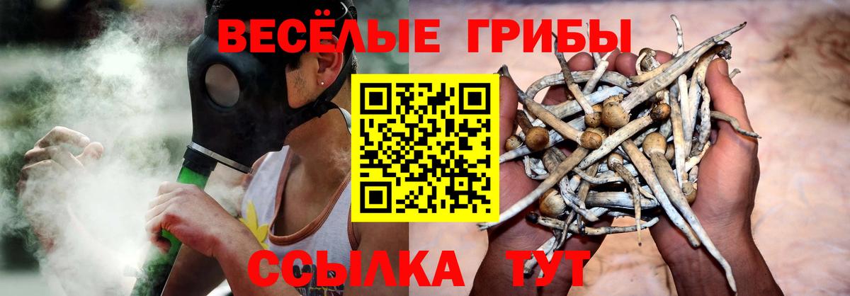 Галлюциногенные грибы MAGIC MUSHROOMS Нурлат