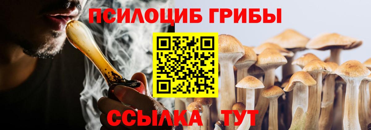Нурлат  Галлюциногенные грибы Psilocybine cubensis  Вход с VPN 